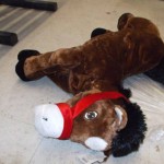 Here’s the Plush Horse Fucked by the Walmart Horse Fucker