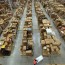 Walk 11 miles a shift and pick up an order every 33 seconds: Revealed, how Amazon works staff ‘to the bone’